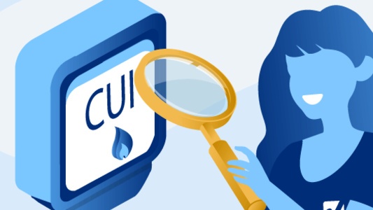 CUI código universal de instalação